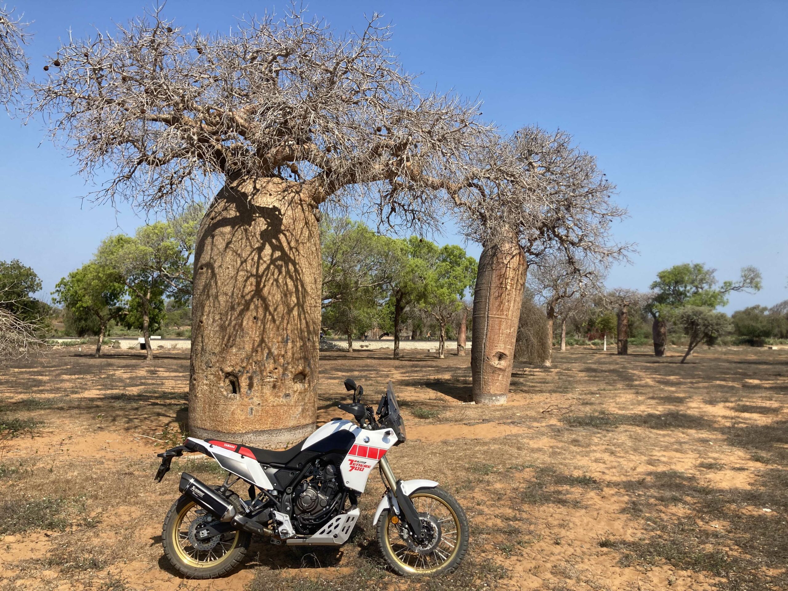 Tsanga – Tsanga 9J